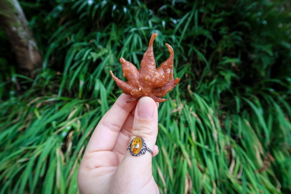 foods to eat in Japan | deep fried maple leaves