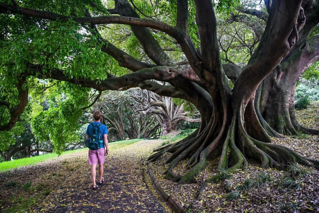 Albert Park in Auckland New Zealand