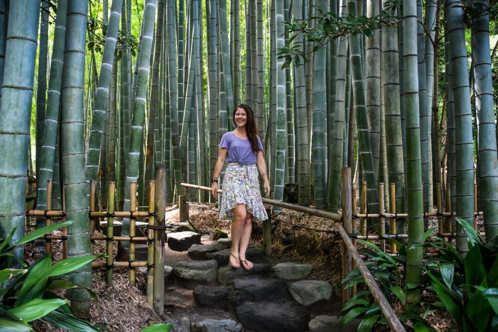 Fun+Facts+about+Japan+Bamboo+Forest