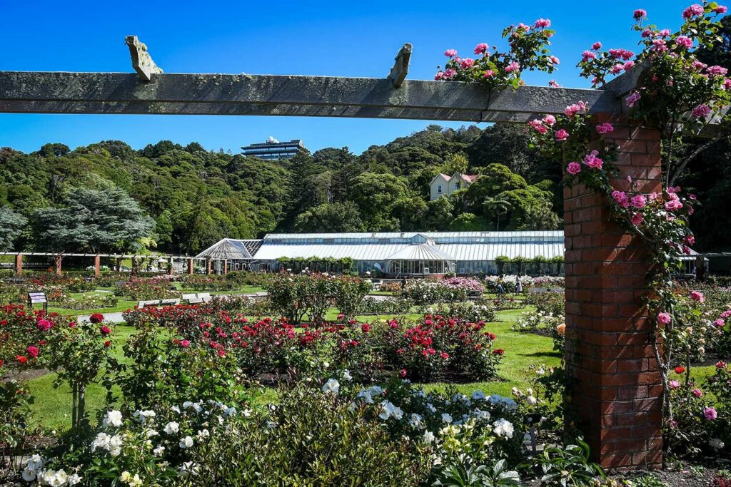 garden in New Zealand