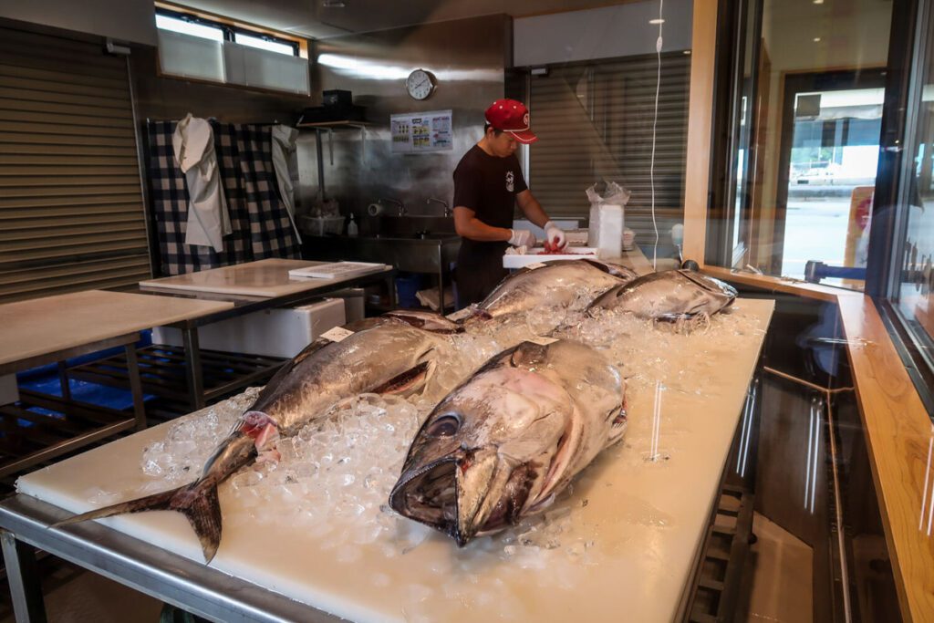 fish in Japan