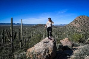 Things to do in Tucson Saguaro National Park