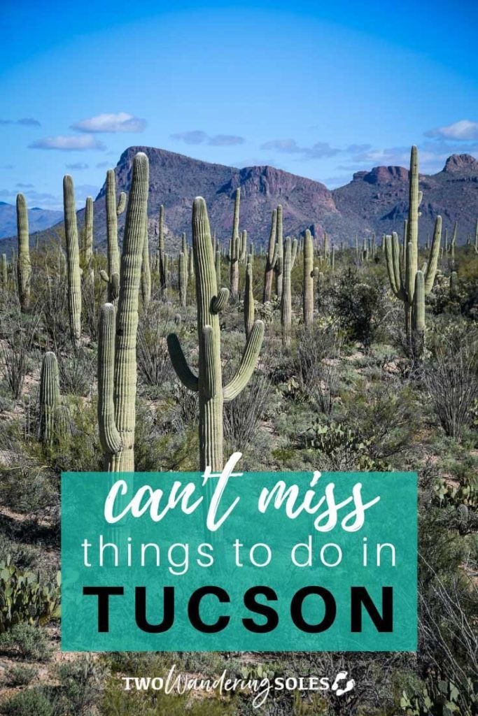 Can't Miss Things to do in Tucson, AZ