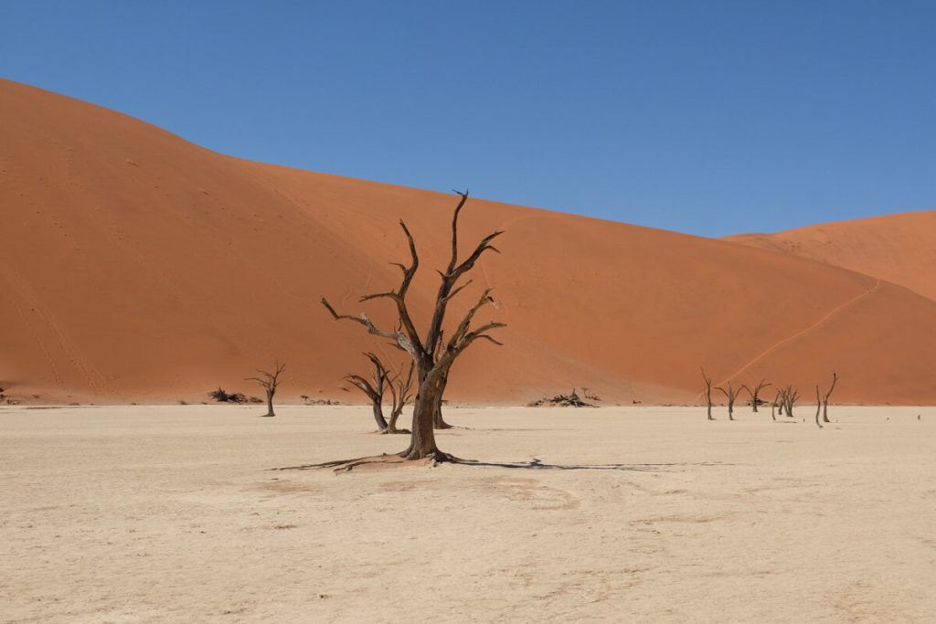 Dead Vlei Namibia (Joy and Lyal from Sustainable Jungle)