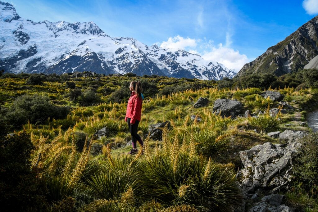 Hooker Valley Track New Zealand