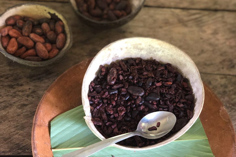 Cocoa tour in Bocas del Toro Panama