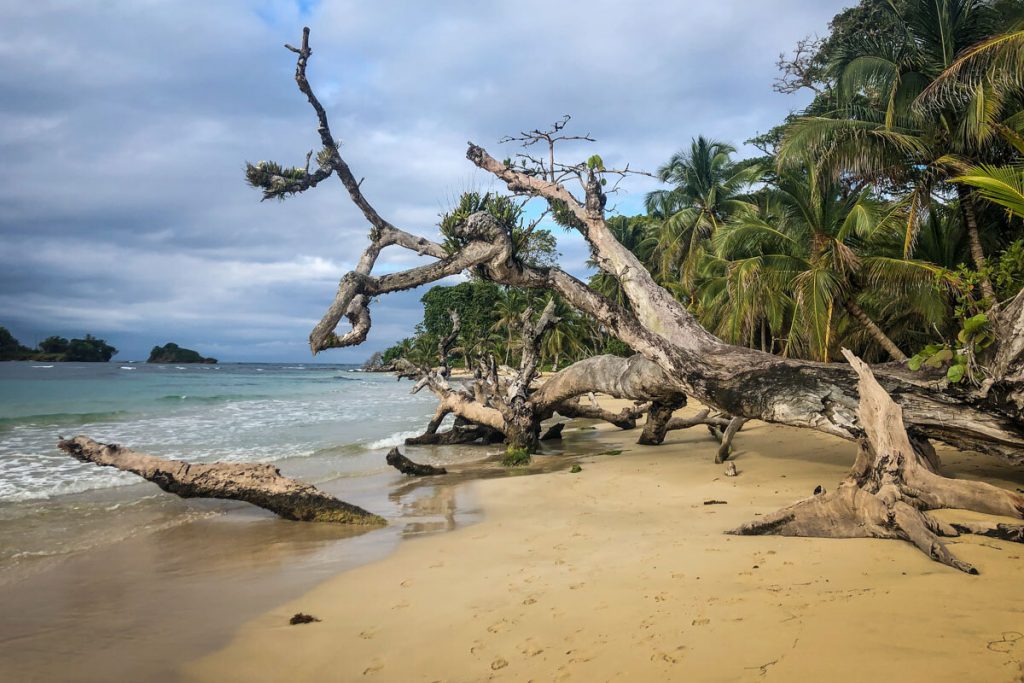 Bocas del Toro Panama beach