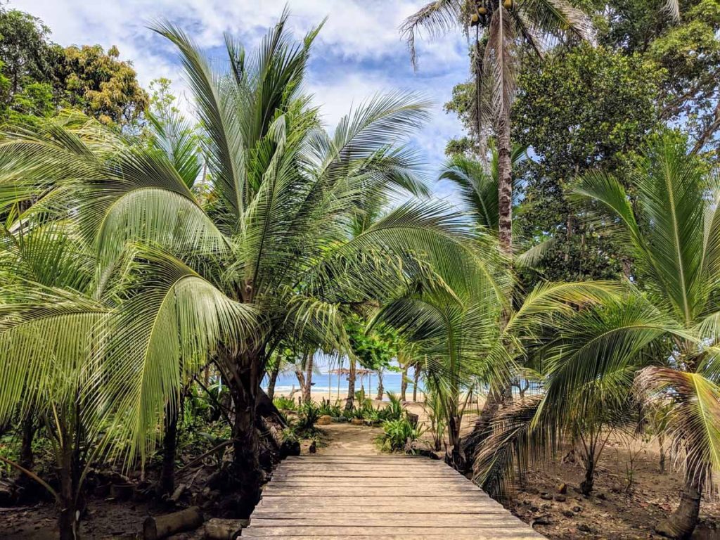 Isla Bastiamentos Bocas del Toro Panama