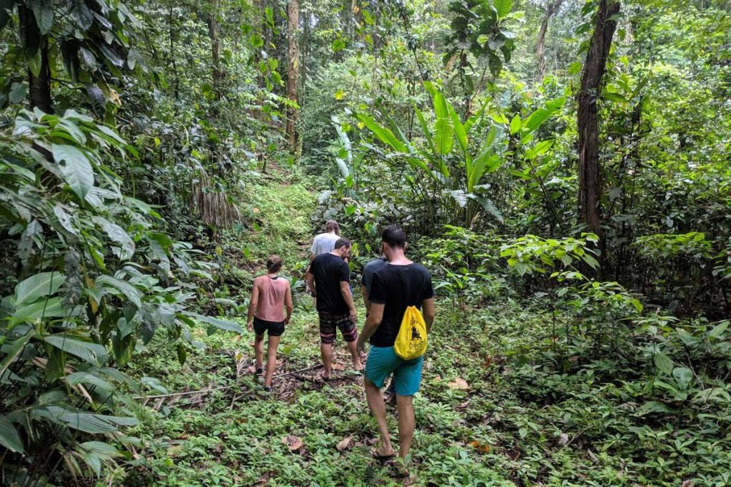 Jungle hiking in Bocas del Toro Panama