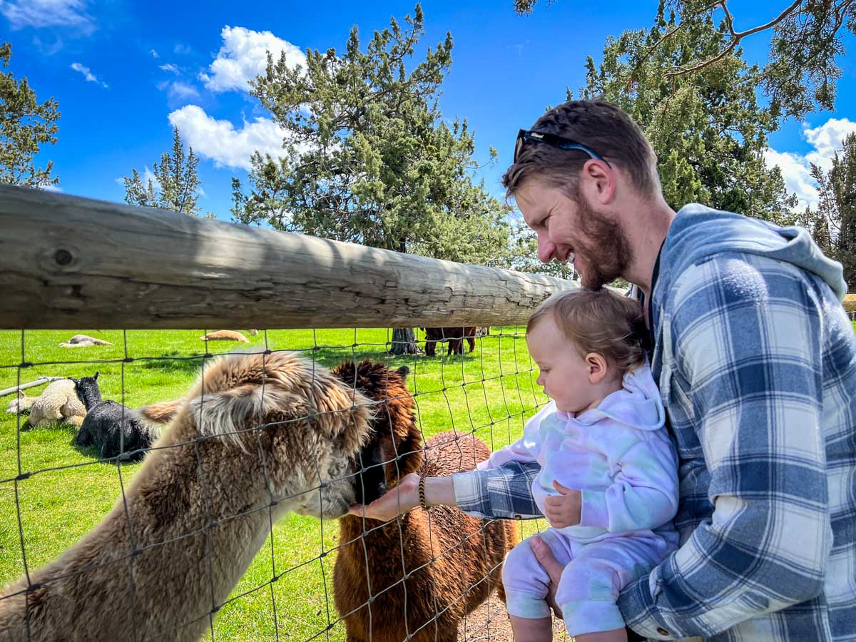 Crescent Moon Alpaca Ranch Bend Oregon