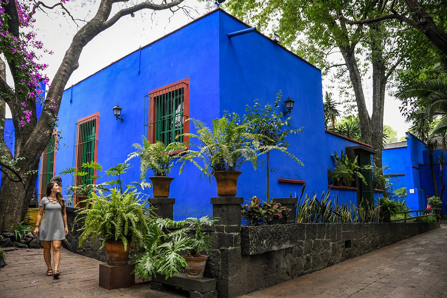 3 Days in Mexico City Itinerary Frida Kahlo Museum