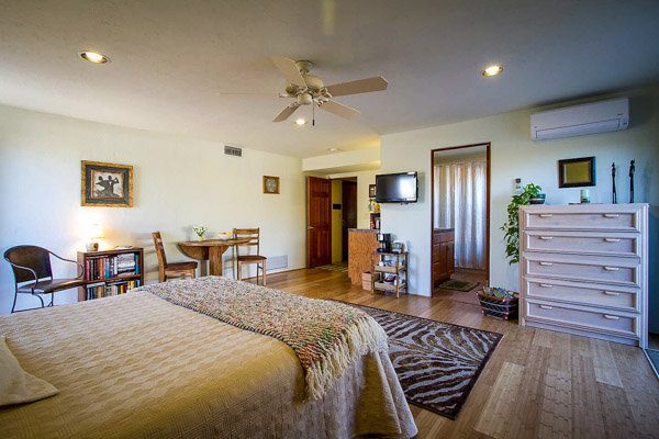 Airbnbs in Tucson Sonoran Desert