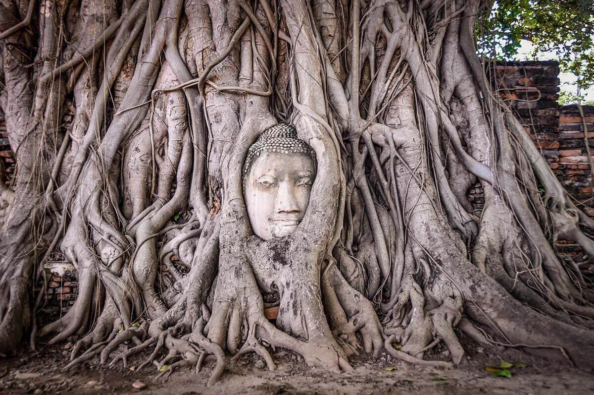 Ayutthaya Thailand Things to do in Bangkok