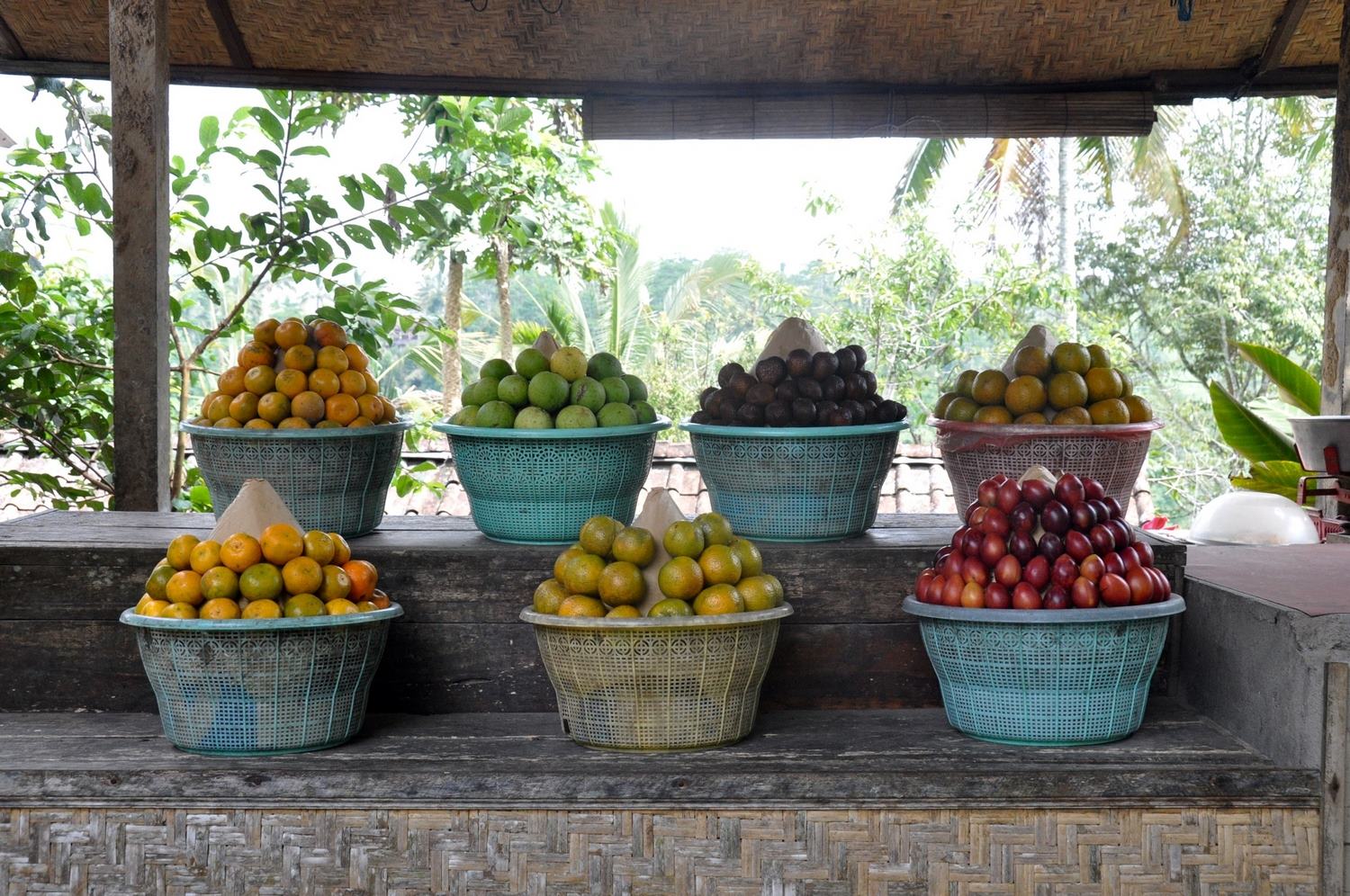 Bali Fruits