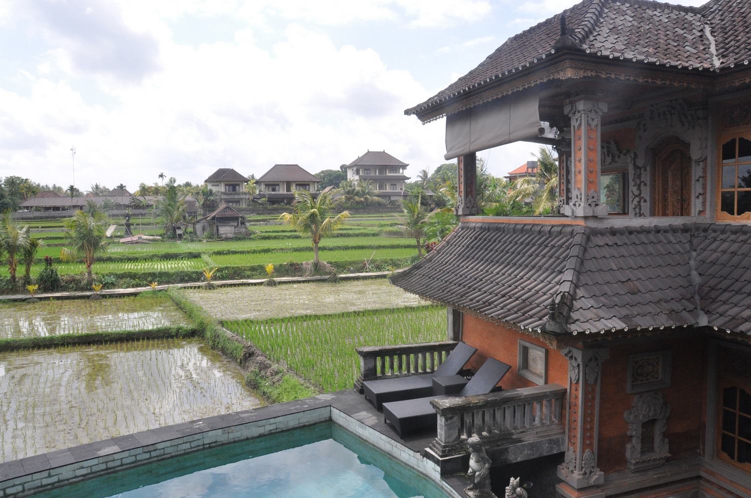 Bali rice fields Ubud