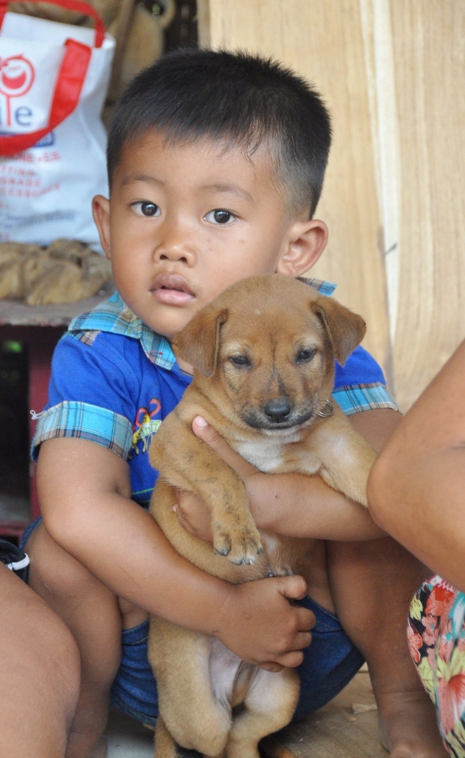 Balinese boy and dog