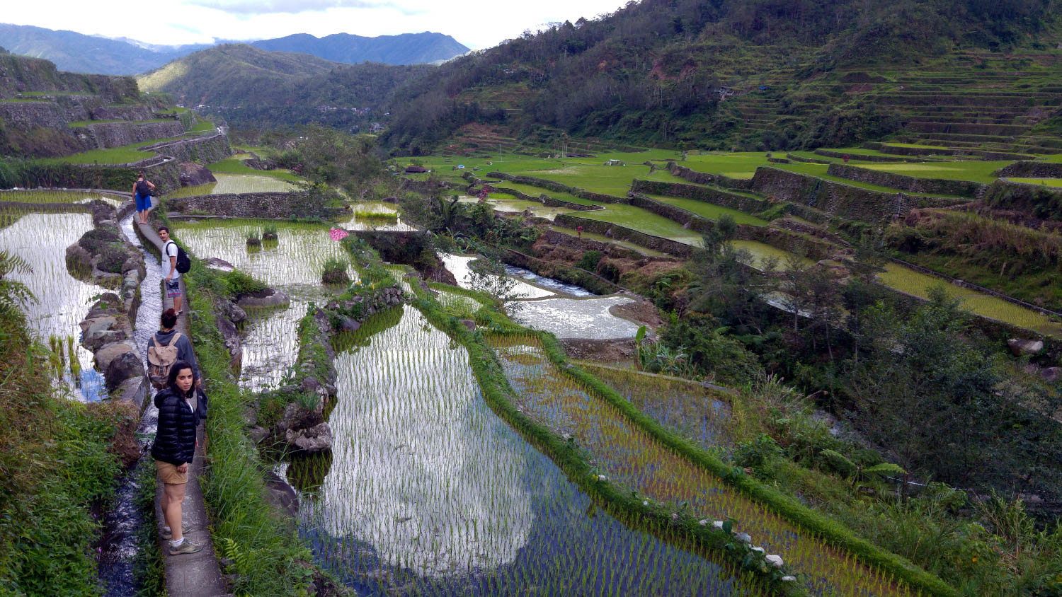Banaue Rice Terraces How to get there and What to do