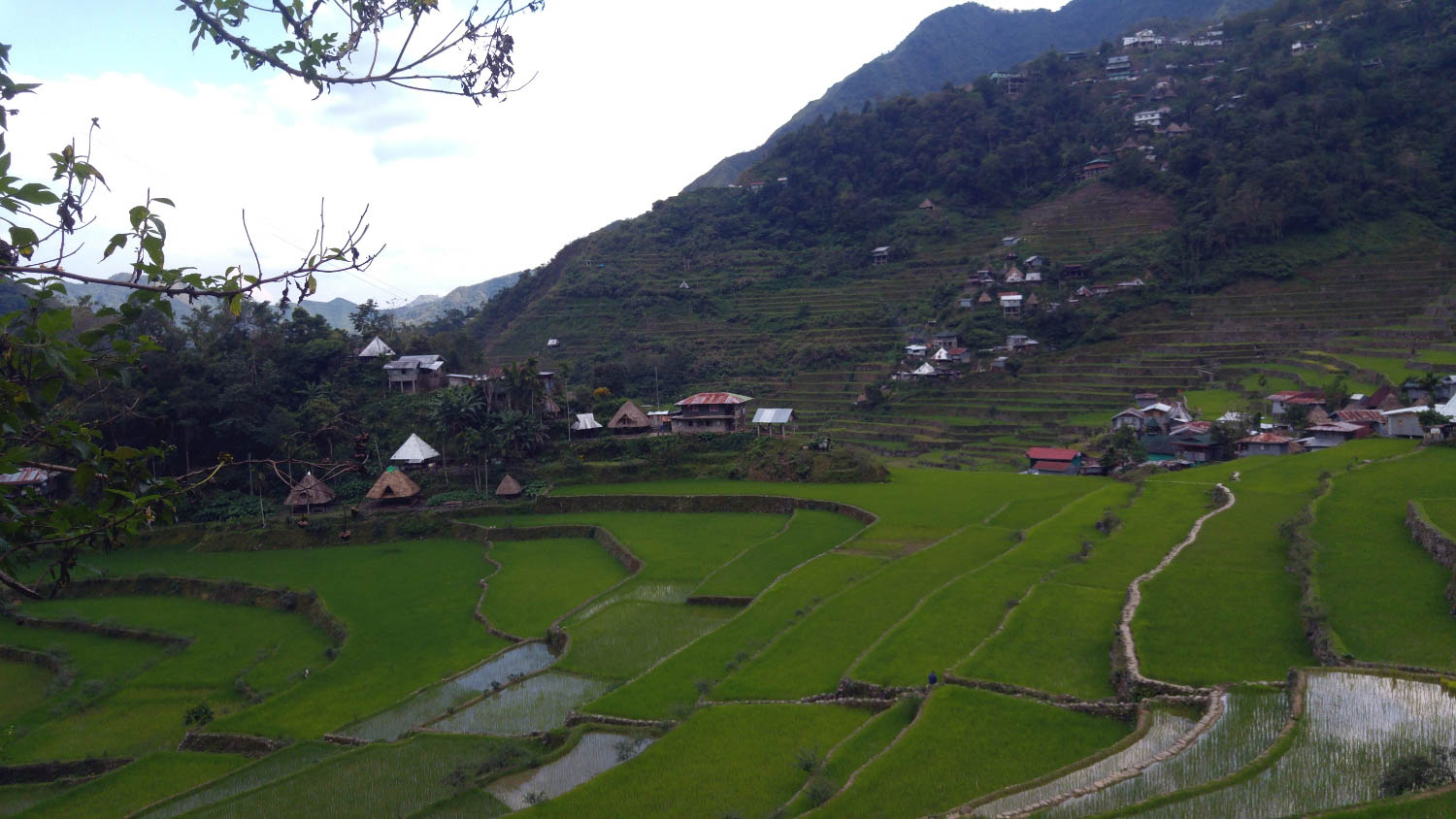 Banaue Rice Terraces How to get there and What to do