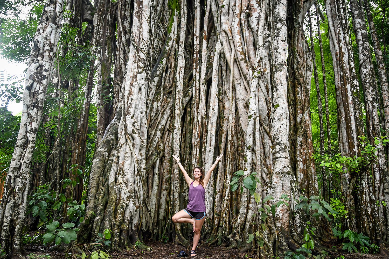 Bayan Tree Costa Rica Katie