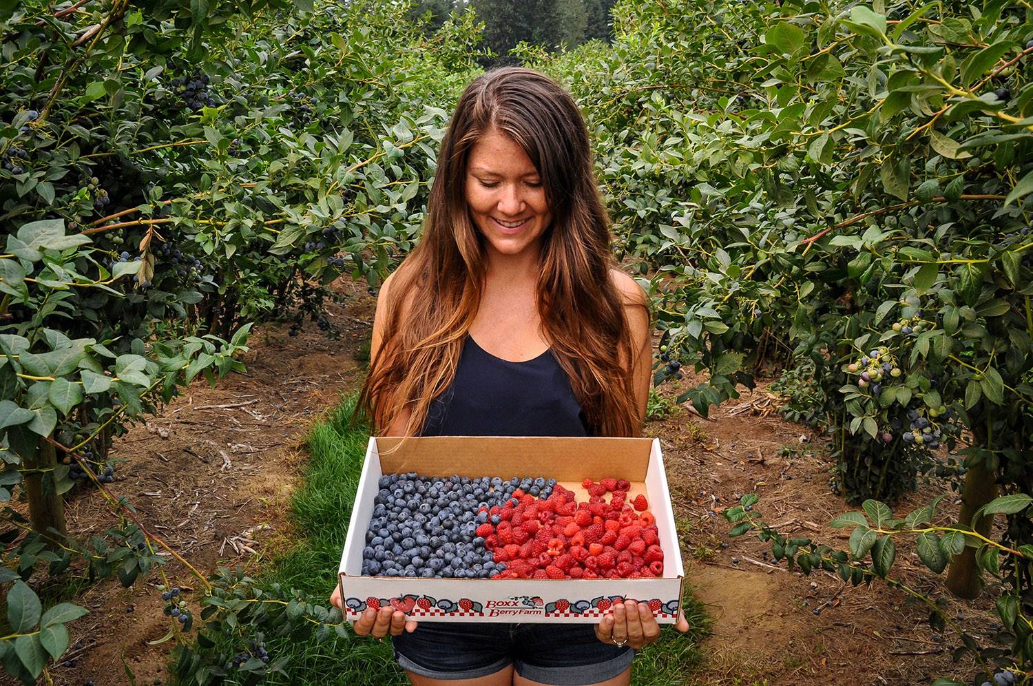 Best Things to Do in Washington State Bellingham Berry Picking