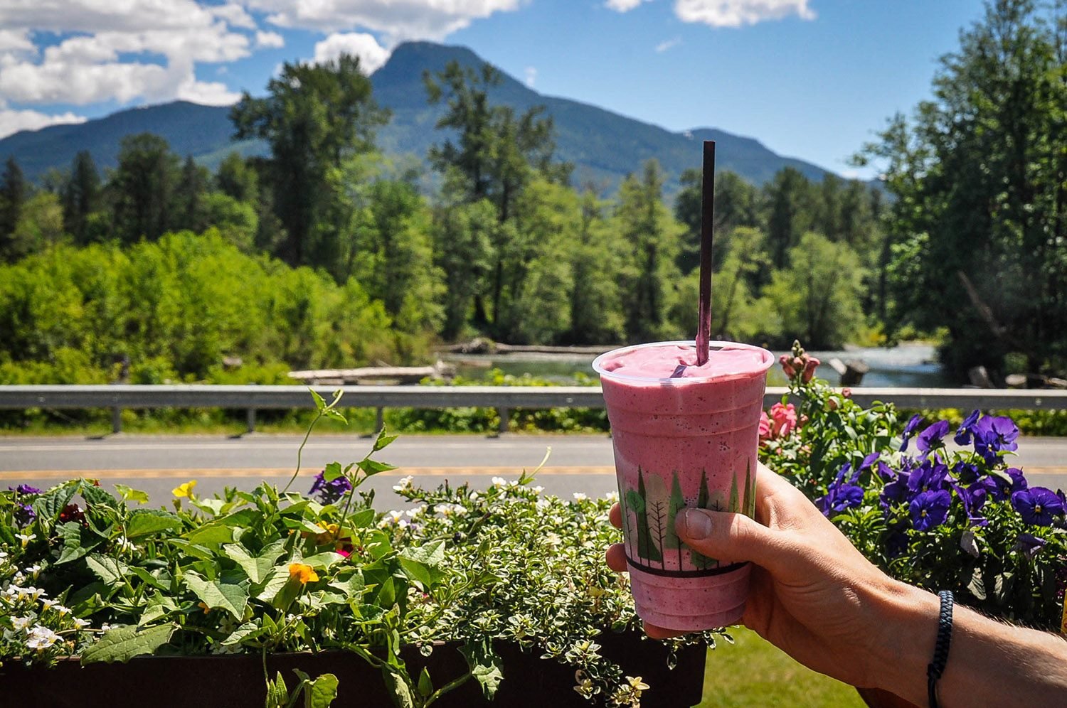 Best Things to Do in Washington State Cascadian Farm Milkshake