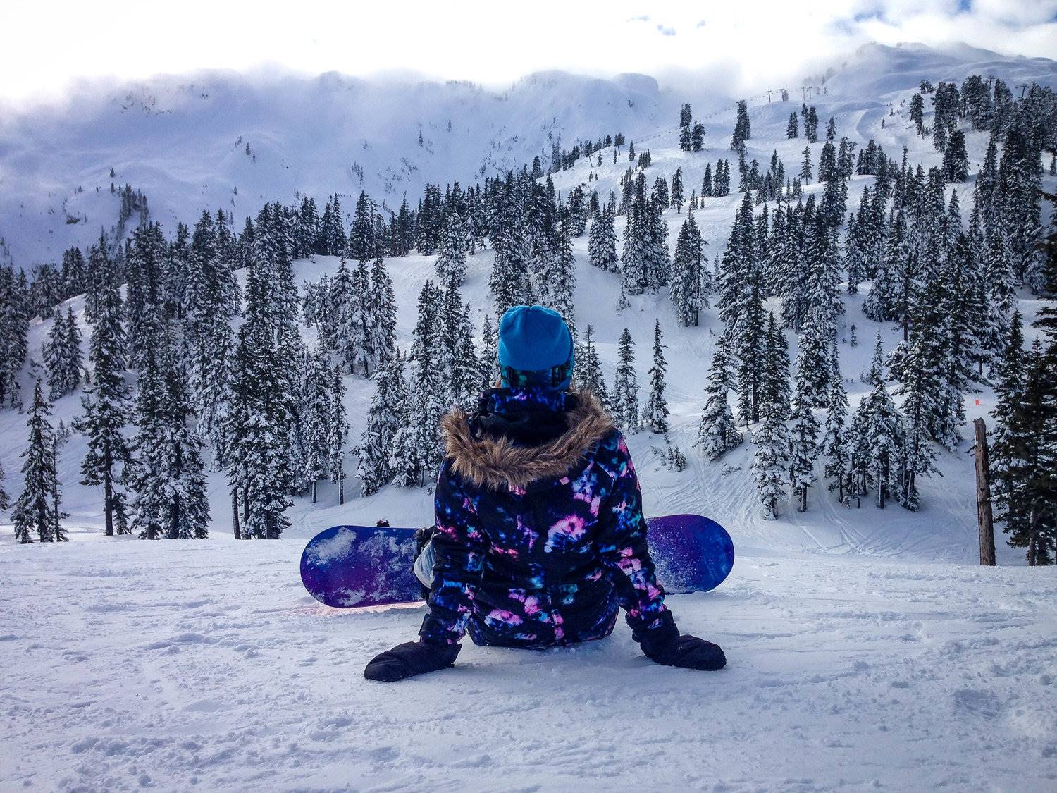 Best Things to Do in Washington State Mount Baker Snowboarding