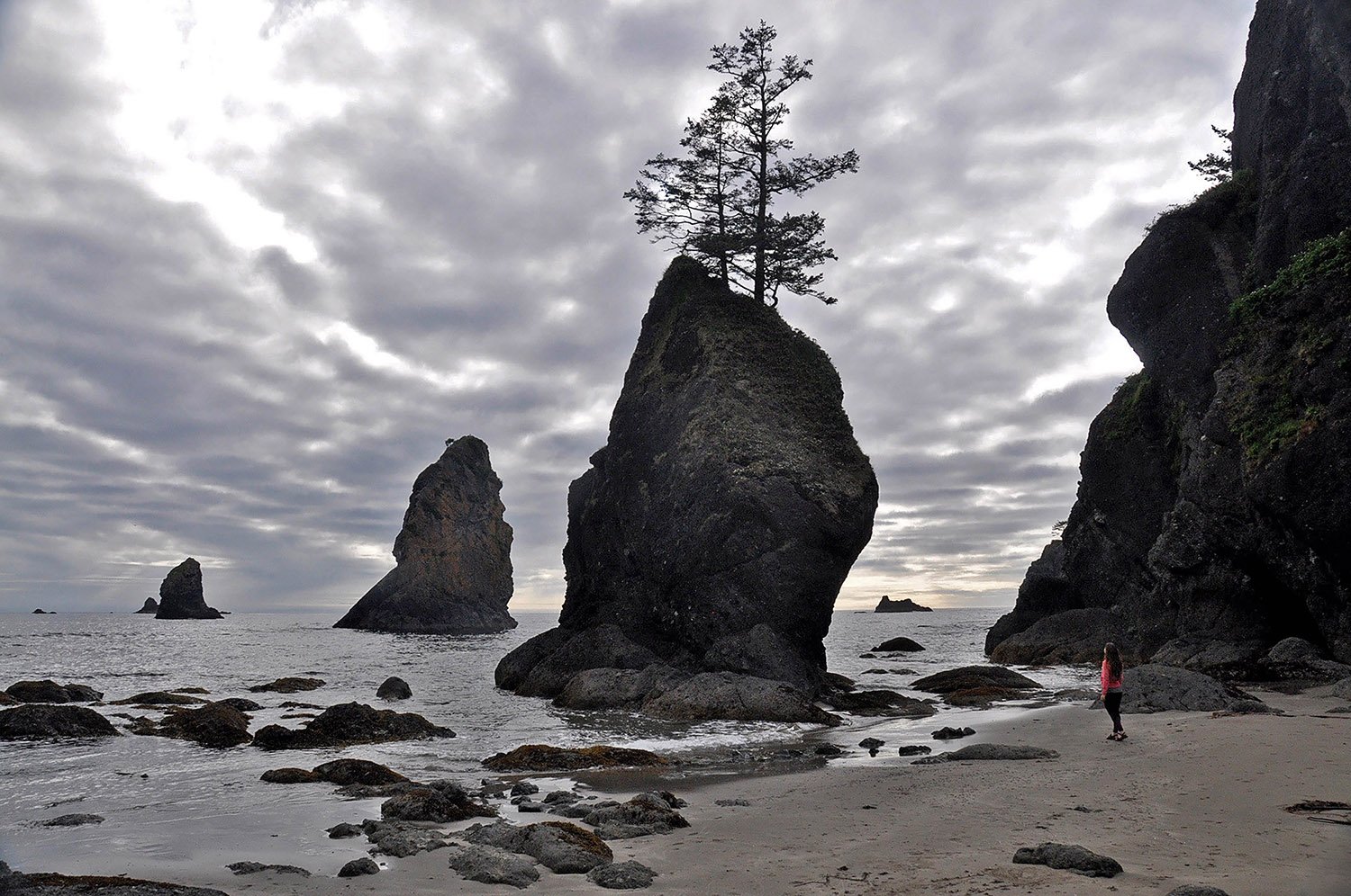 Best Things to Do in Washington State Shi Shi Beach Stacks