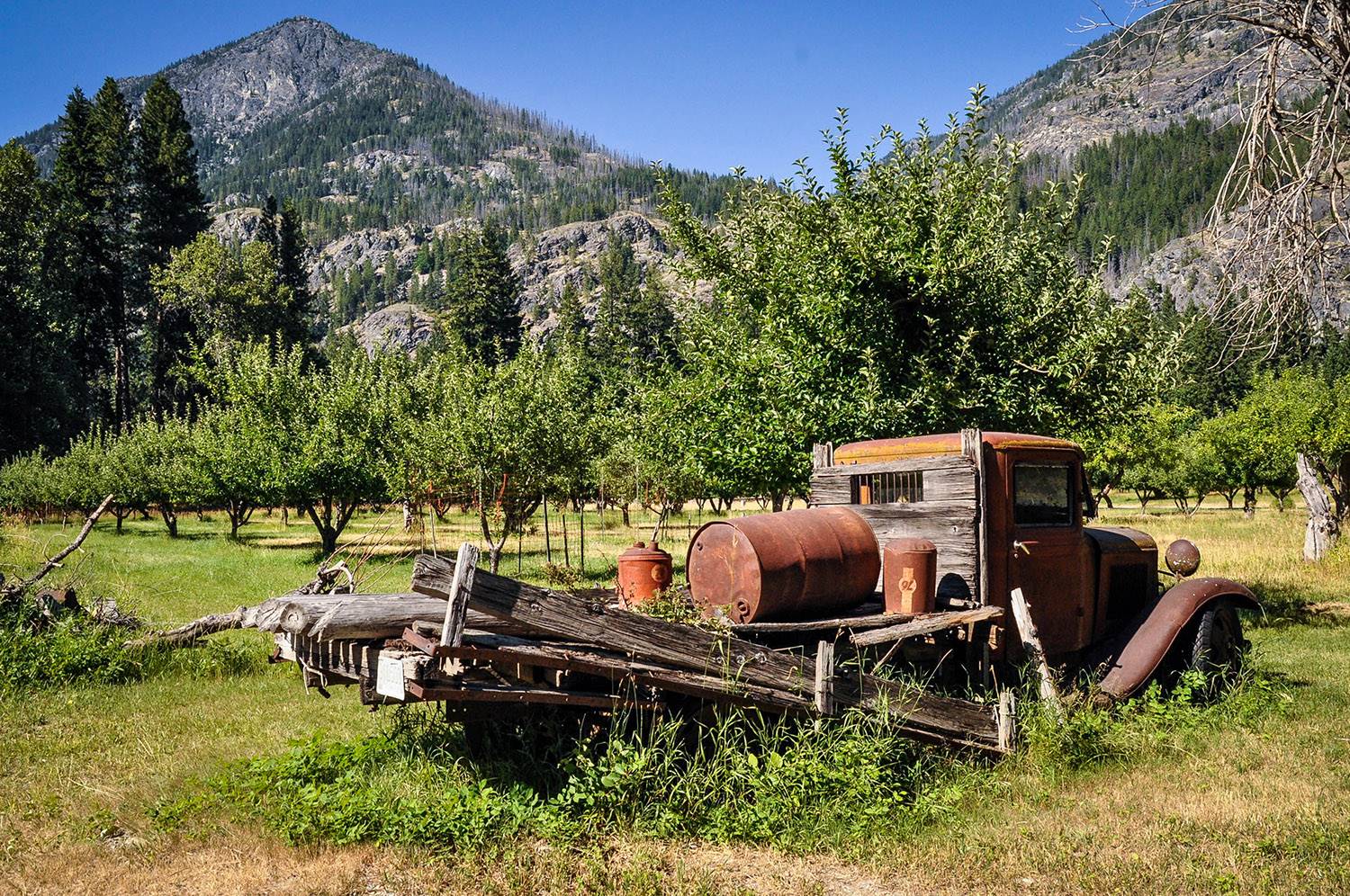 Best Things to Do in Washington State Stehekin