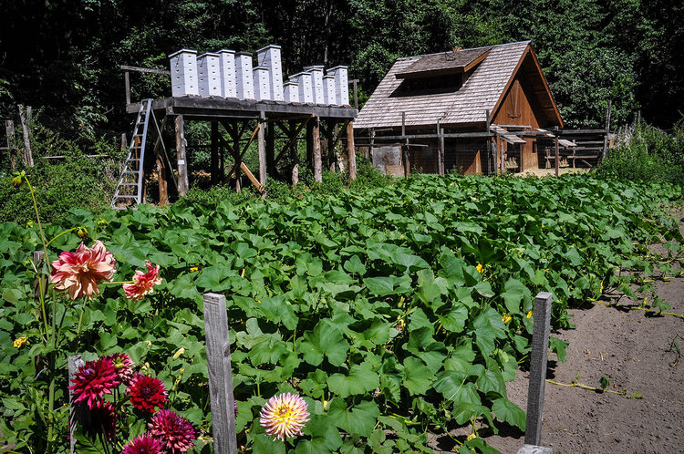 Best Things to Do in Washington State Stehekin The Garden
