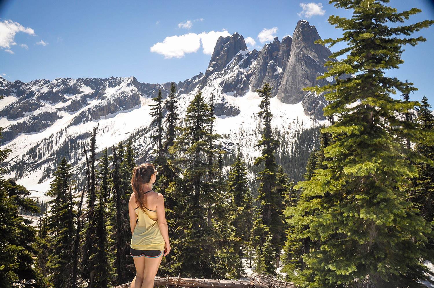 Best Things to Do in Washington State Washington Pass Overlook