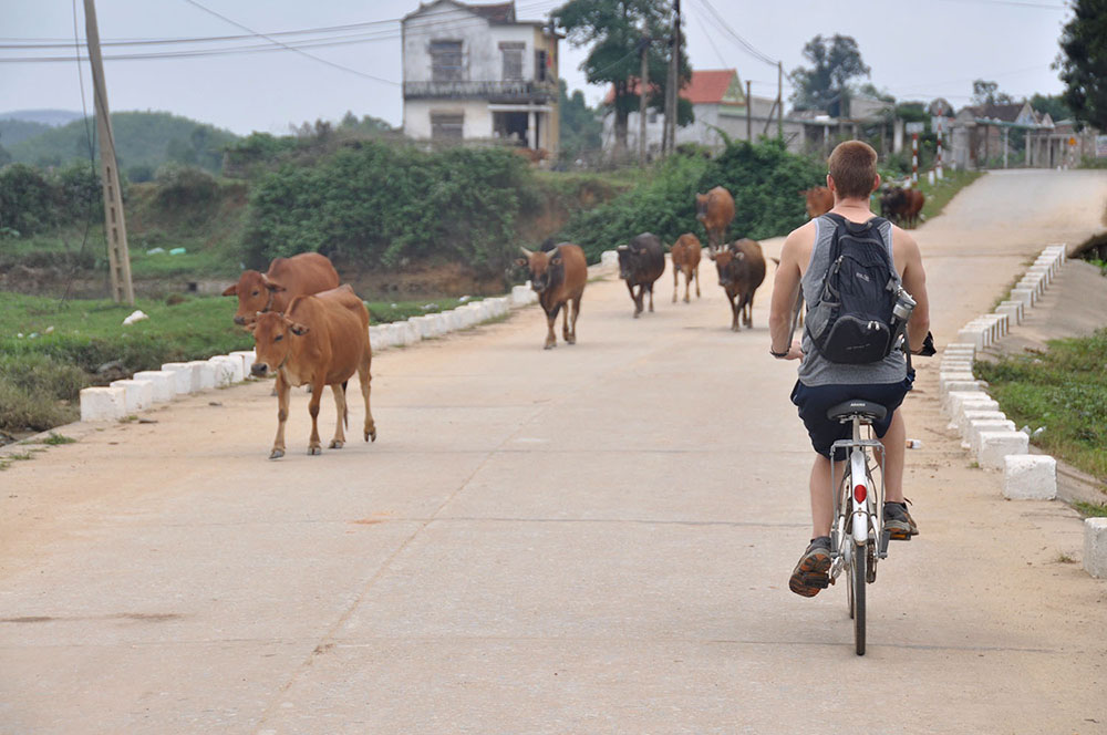 Biking in Phong Nha Vietnam Itinerary