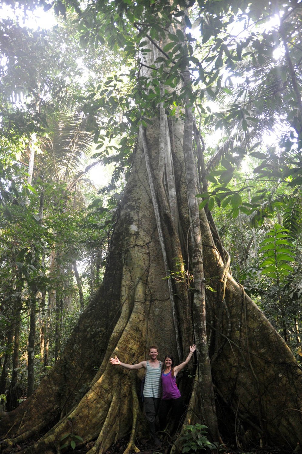 Amazon Jungle in Bolivia