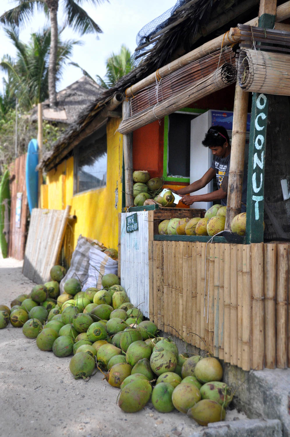 Boracay Coconuts