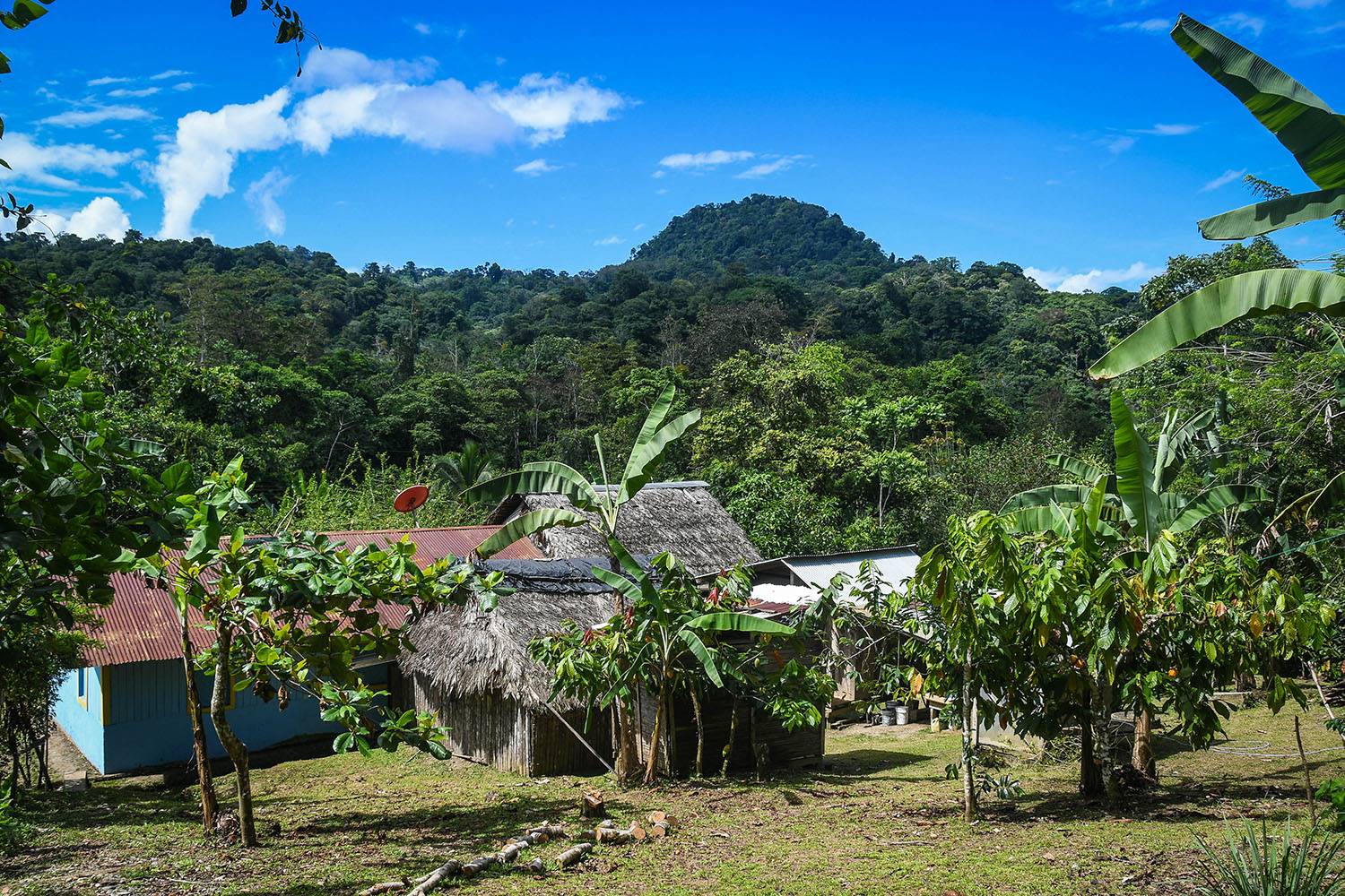 Bri Bri Indigenous Village Tour