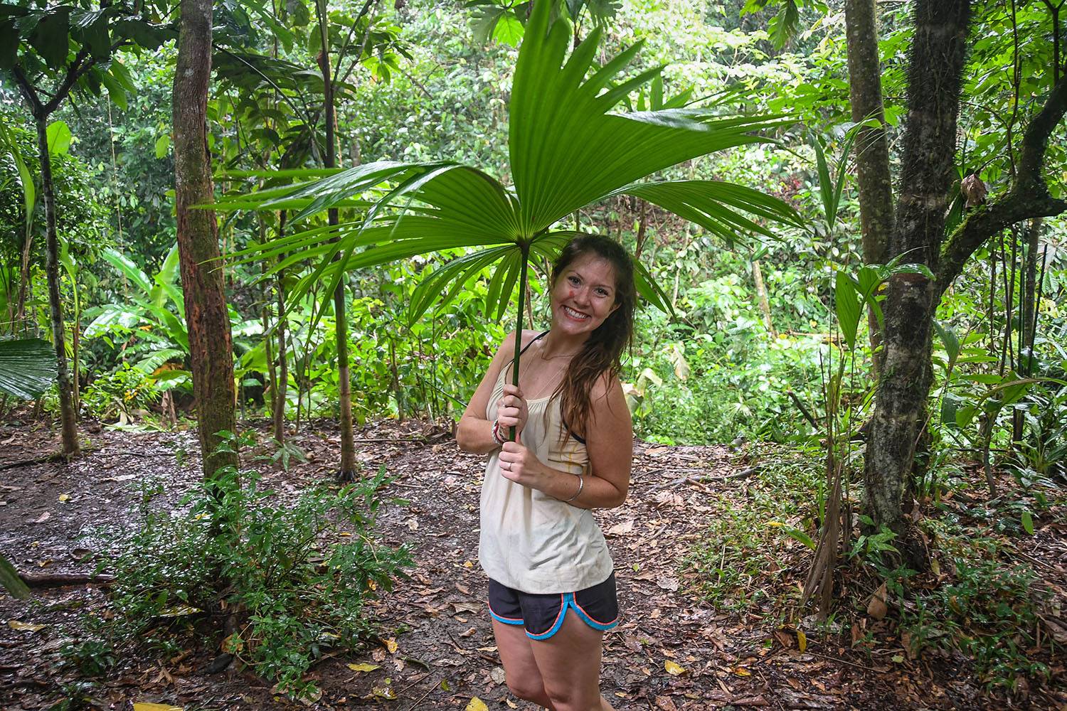 Bri Bri Indigenous Village Tour Natural Umbrella