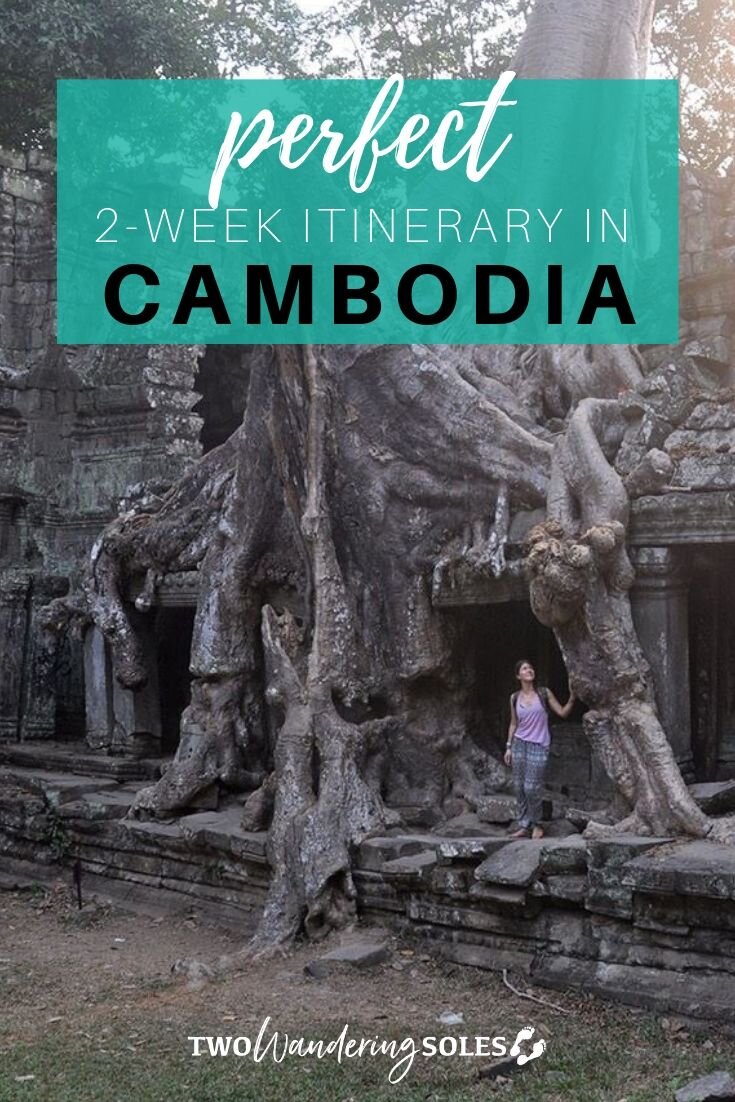 2 weeks in cambodia