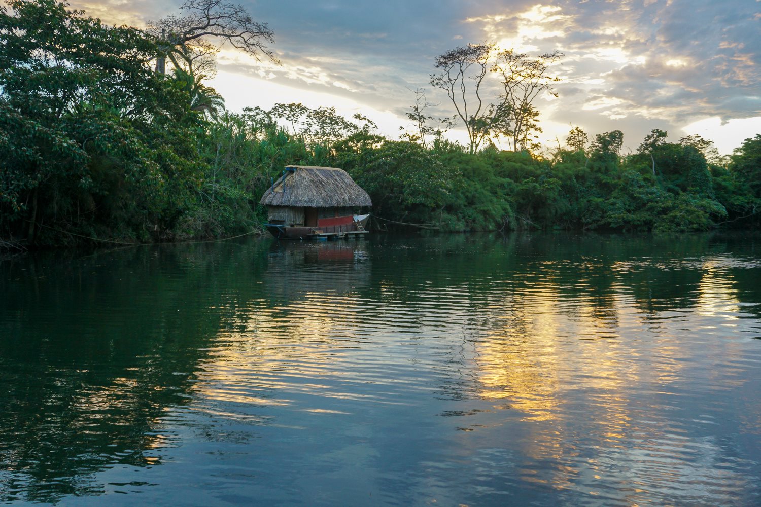 Cotton Tree Eco Lodge.jpg