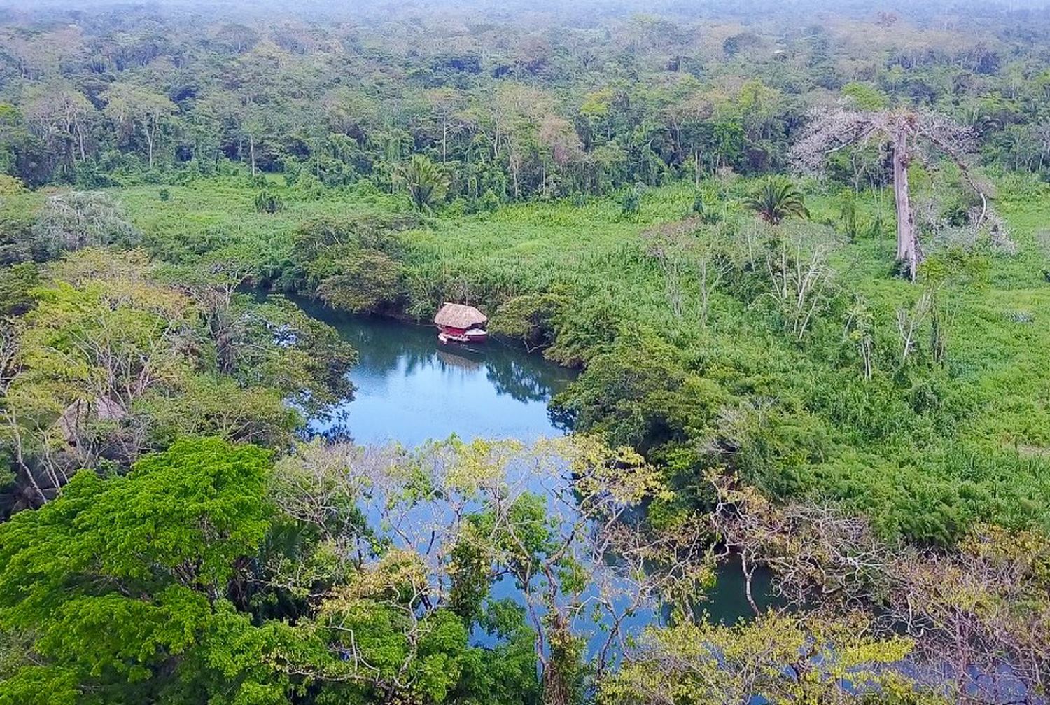 Cotton Tree Lodge Drone Shot.jpg