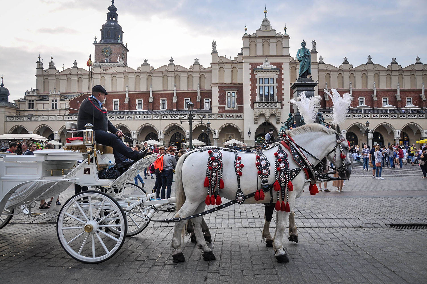 Countries to Teach English Poland Horse and Carriage