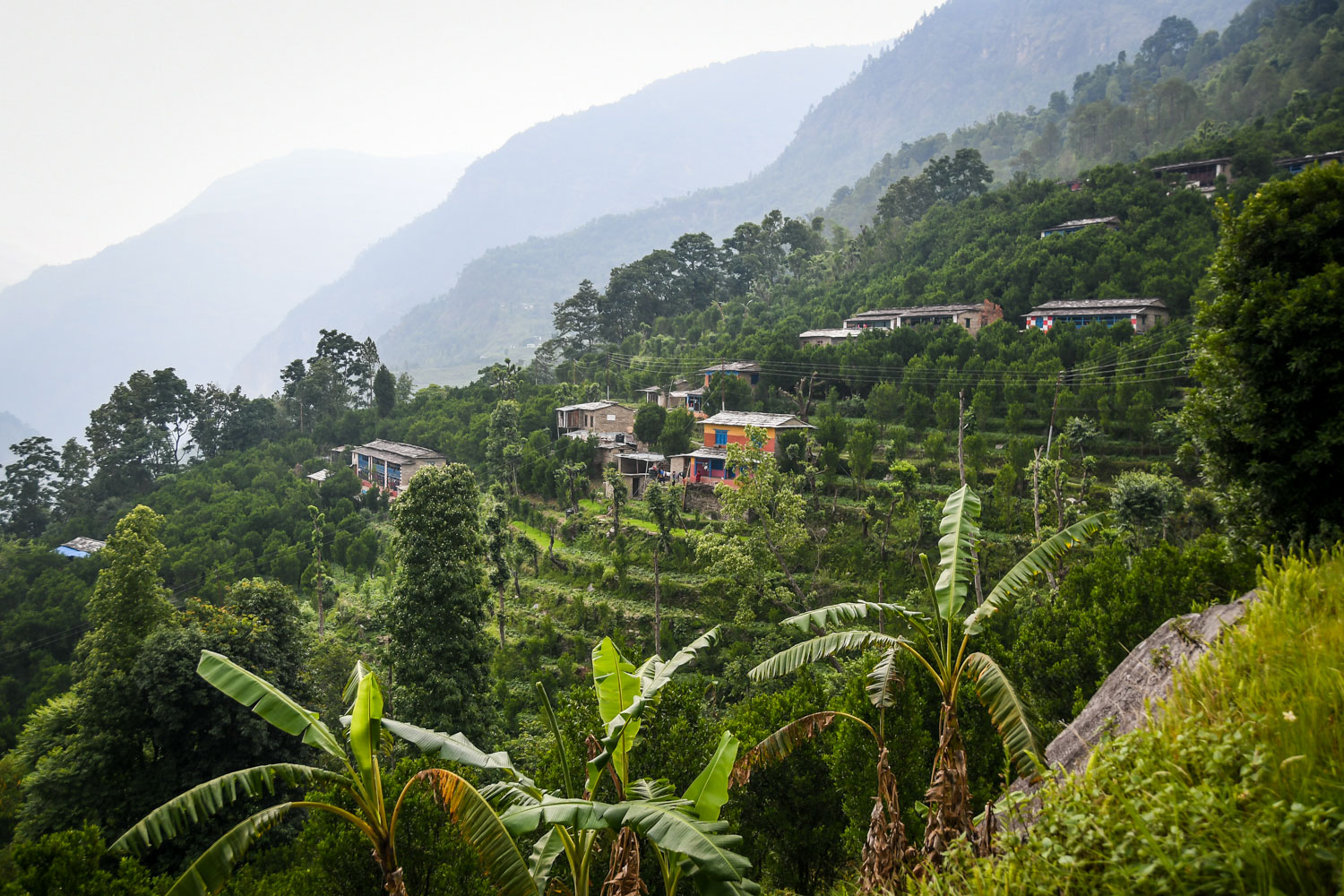 Mohare Danda Trek Terrace Farm