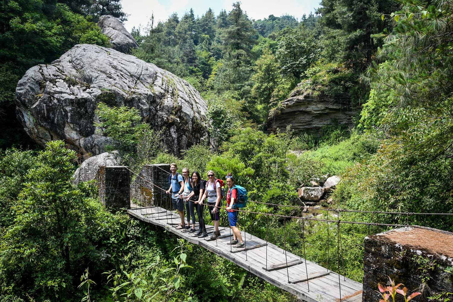 Mohare Danda Trek Wooden Bridge