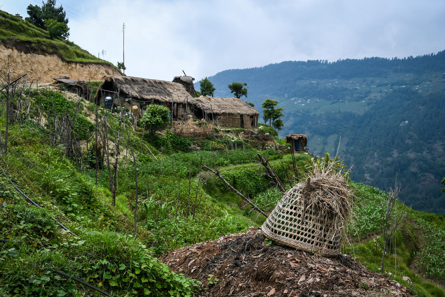 Mohare Danda Trek Villages Farm