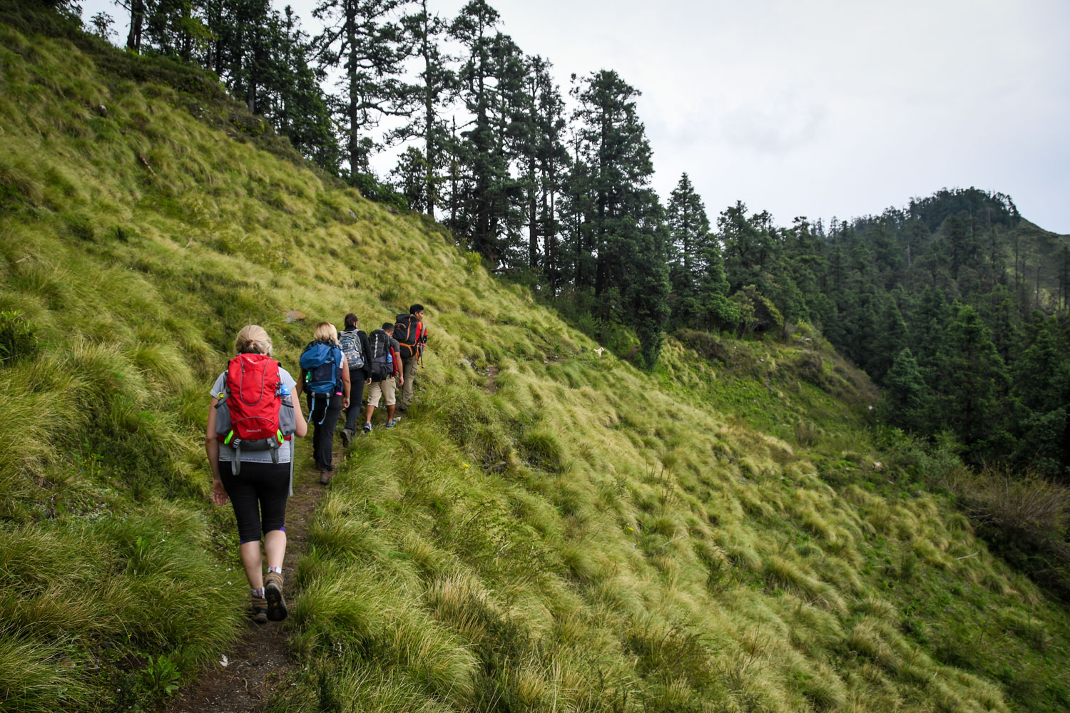 Mohare Danda Trek Hiking group on Trial