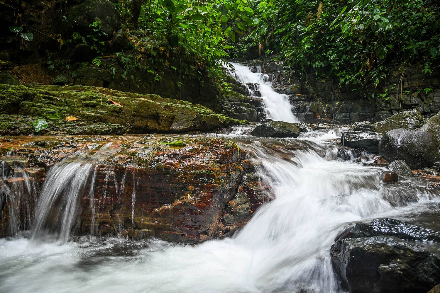 Oxygen Jungle Villas Private Waterfall on Site