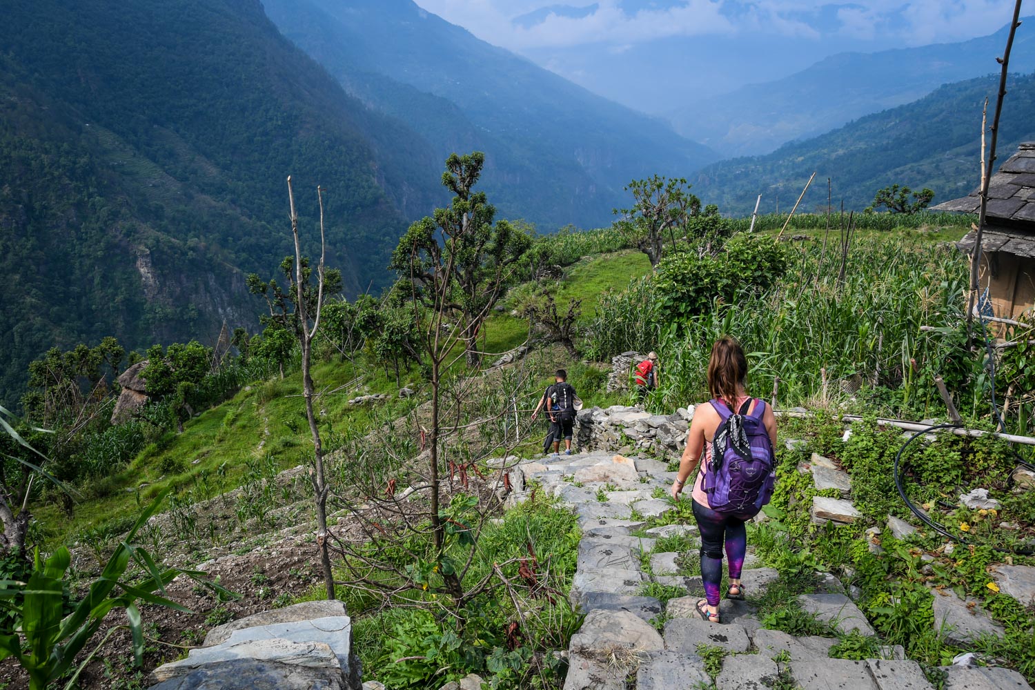 Mohare Danda Trek Hiking Down