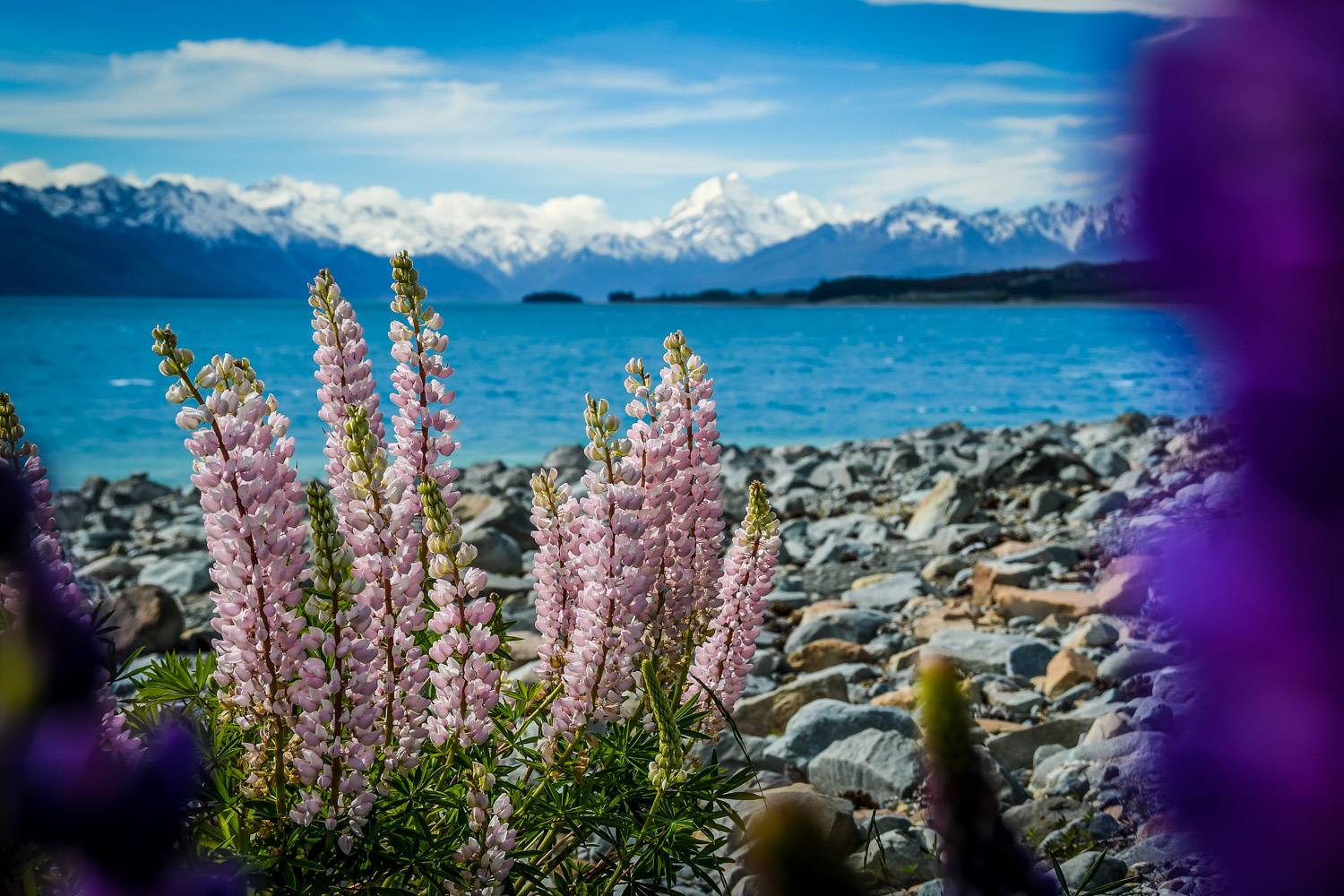 New Zealand Lake Pukaki