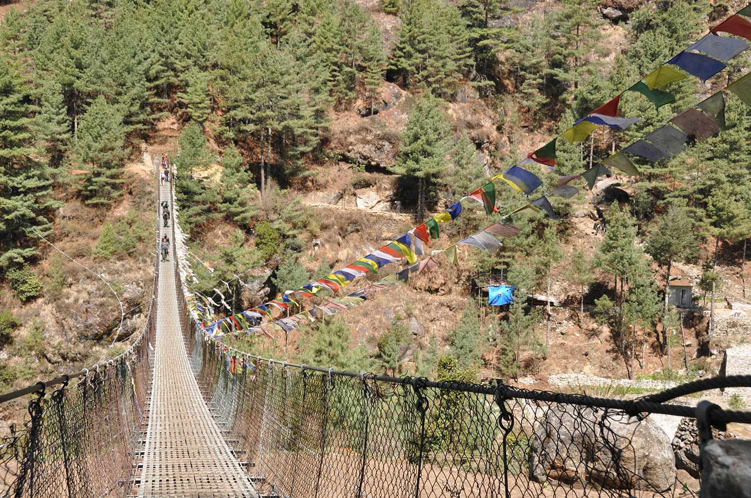 Suspension bridge butterflies