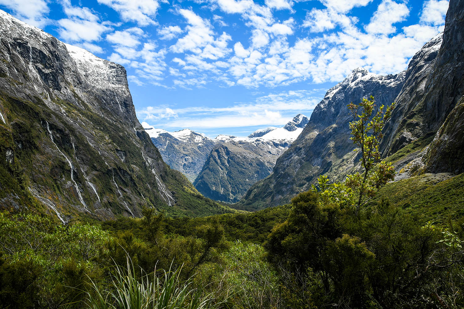 New Zealand Milford Sound National Park