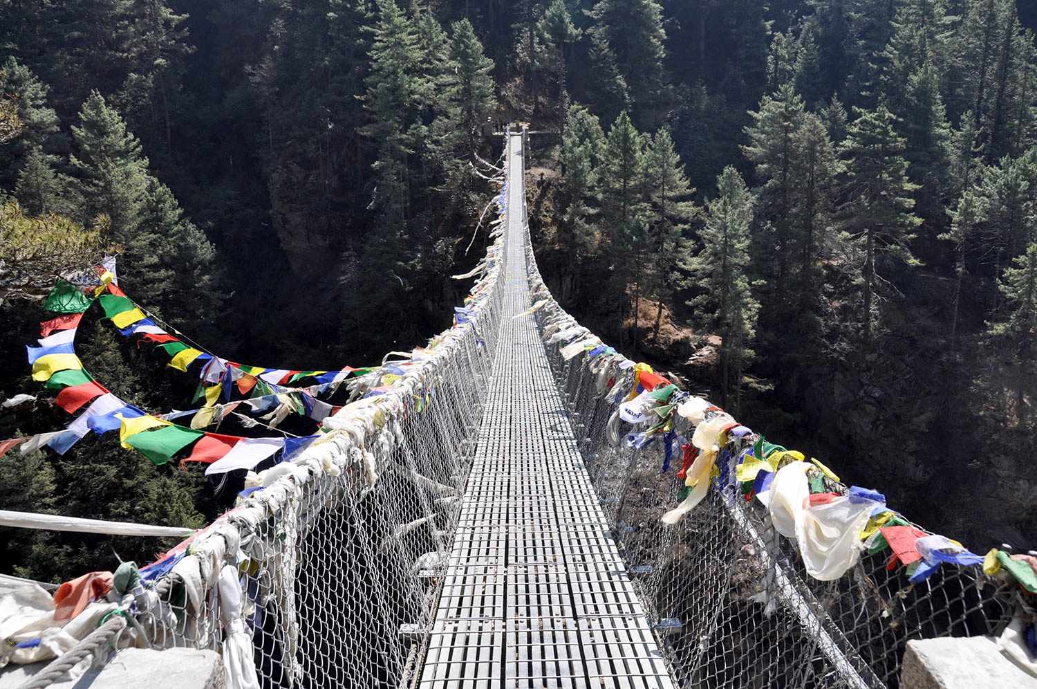 Suspended hundreds of feet above the water