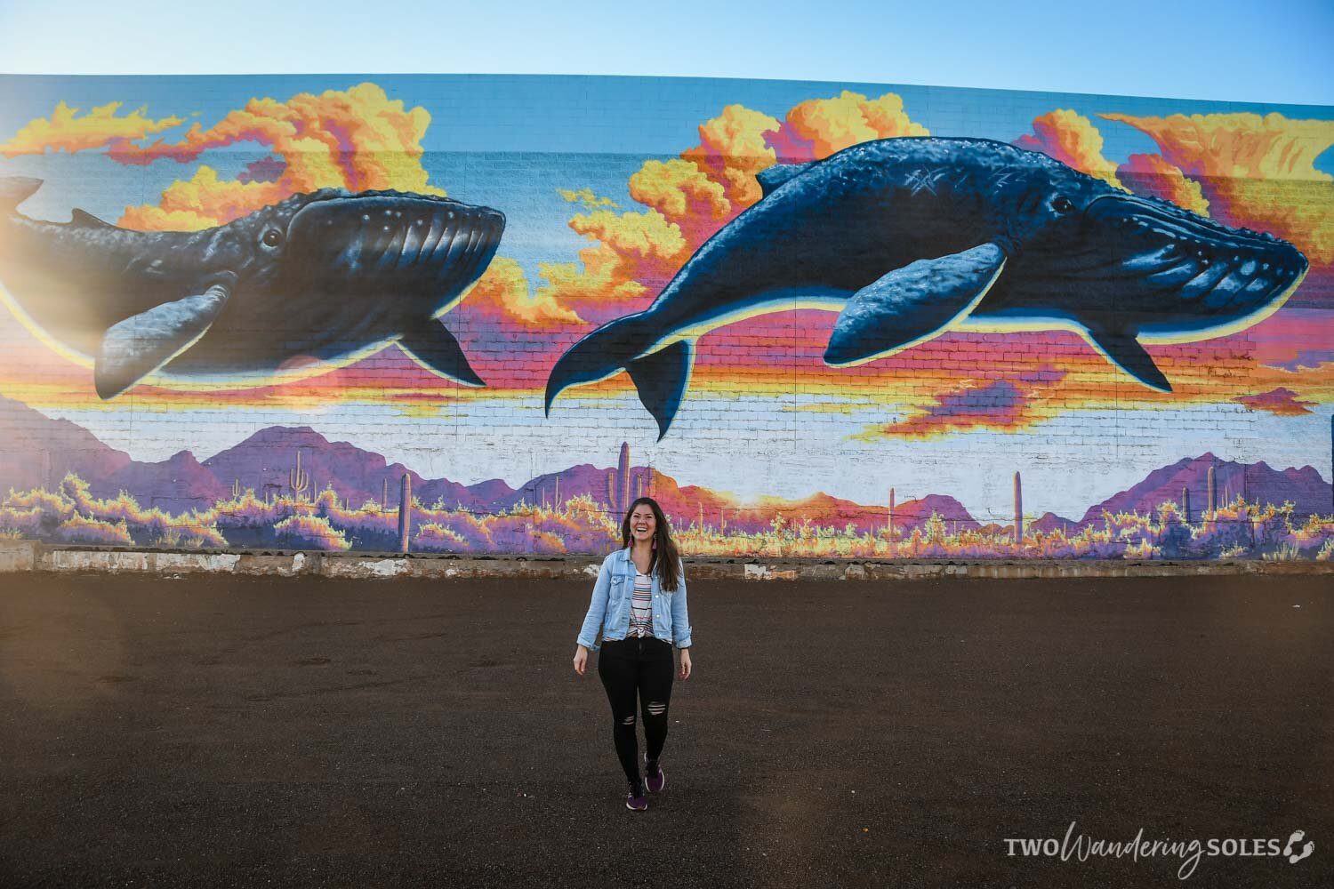 Whale Mural Tucson Street Art